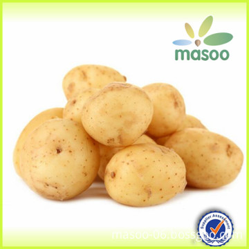 Fresh Potatoes, fresh vegetables from China, good quality